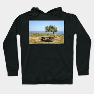 Picnic Table with a View Hoodie